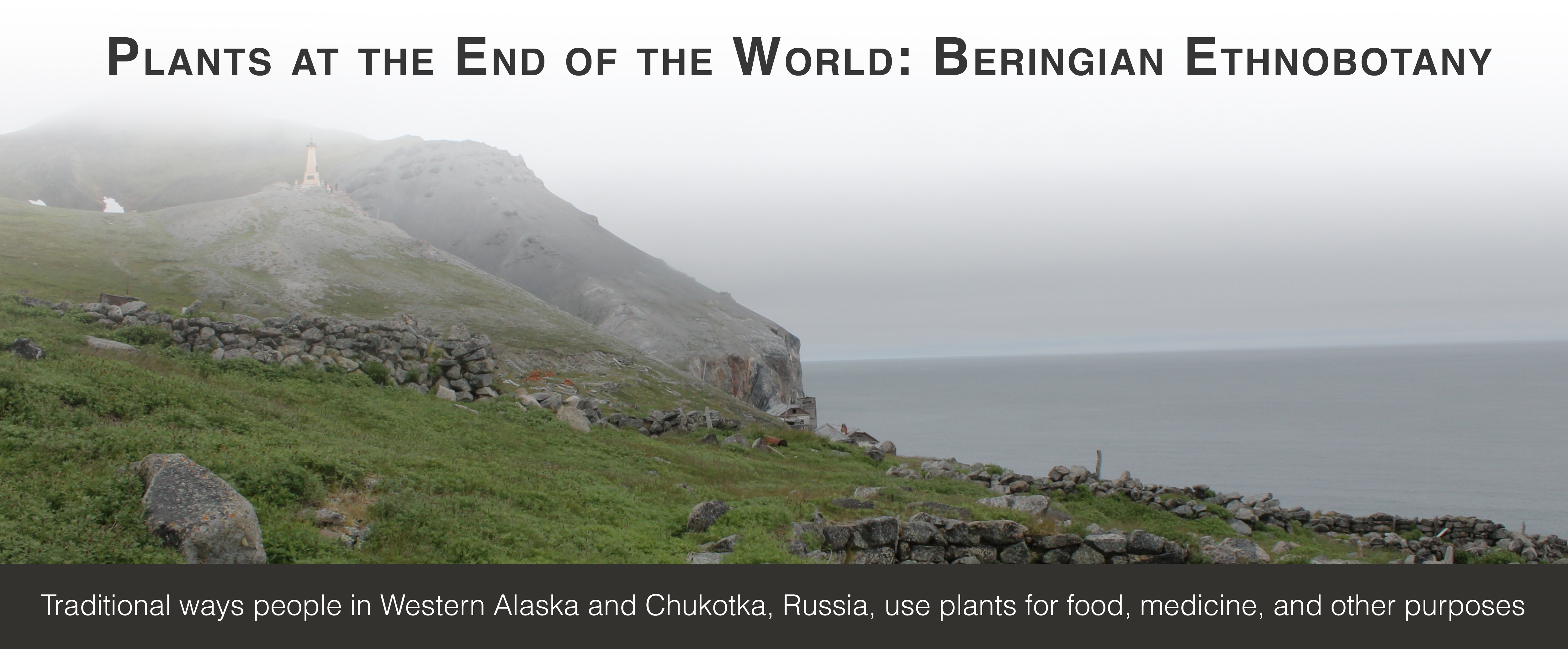 Banner for Beringia Website