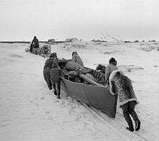 Hauling a skin boat for whaling