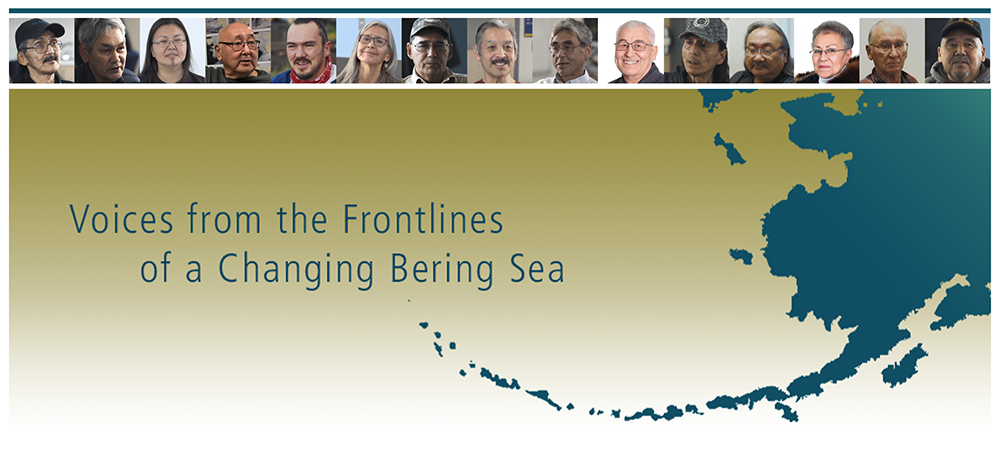 Image of banner for Bering Sea website