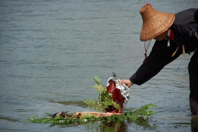 Bones of the first salmon are returned to the river in Lummi First Salmon Ceremony