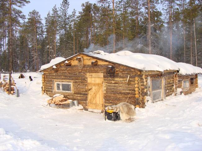 Forest Cabin, A. M. Moldanov Family Settlement. Photo by T. A. Moldanova, used with permission.